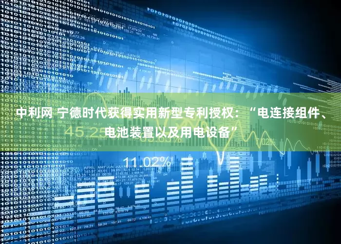 中利网 宁德时代获得实用新型专利授权：“电连接组件、电池装置以及用电设备”