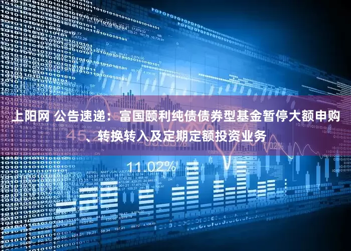 上阳网 公告速递：富国颐利纯债债券型基金暂停大额申购、转换转入及定期定额投资业务