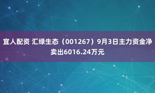 宜人配资 汇绿生态（001267）9月3日主力资金净卖出6016.24万元