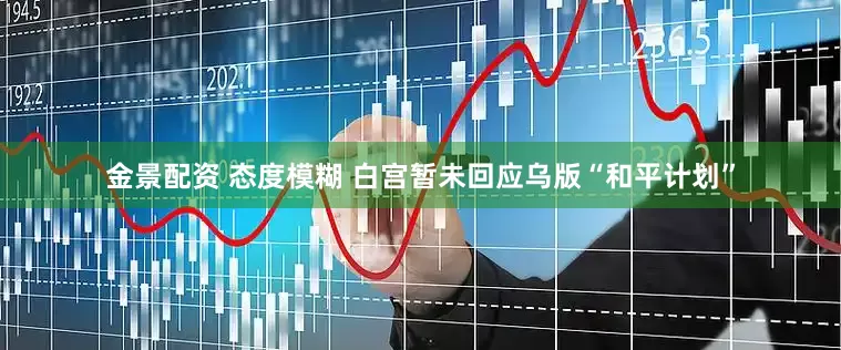 金景配资 态度模糊 白宫暂未回应乌版“和平计划”